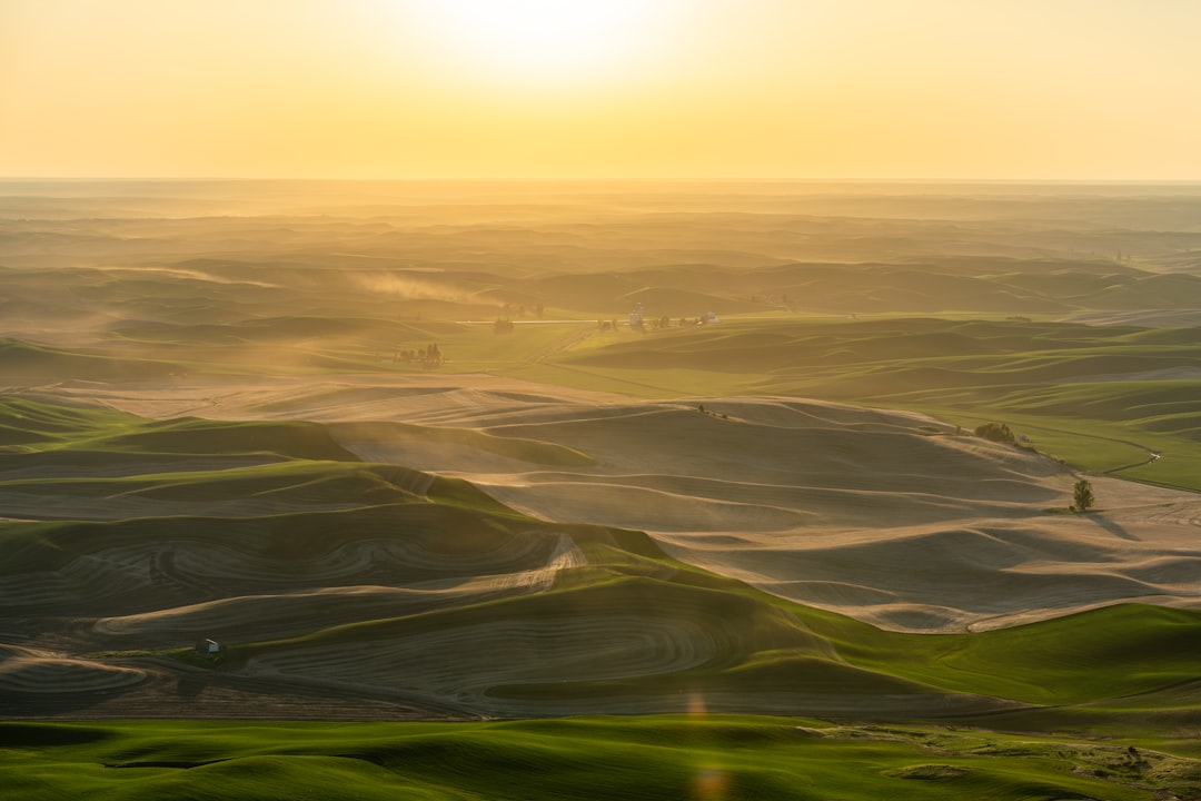 How Hot Dry Palouse Summers Strain AC vs Coastal Climates 101