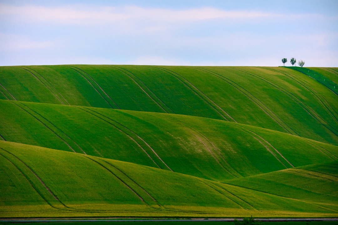 Everything You Need to Know About How the Palouse Climate Creates Unique Demands on Your HVAC System