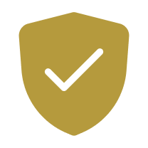 secure icon