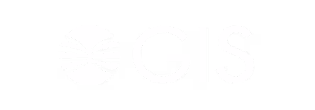 GIS International