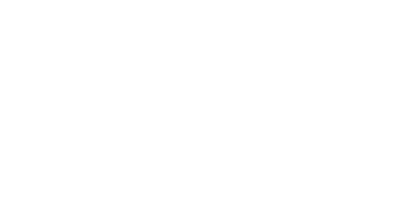 Nortera logo in white
