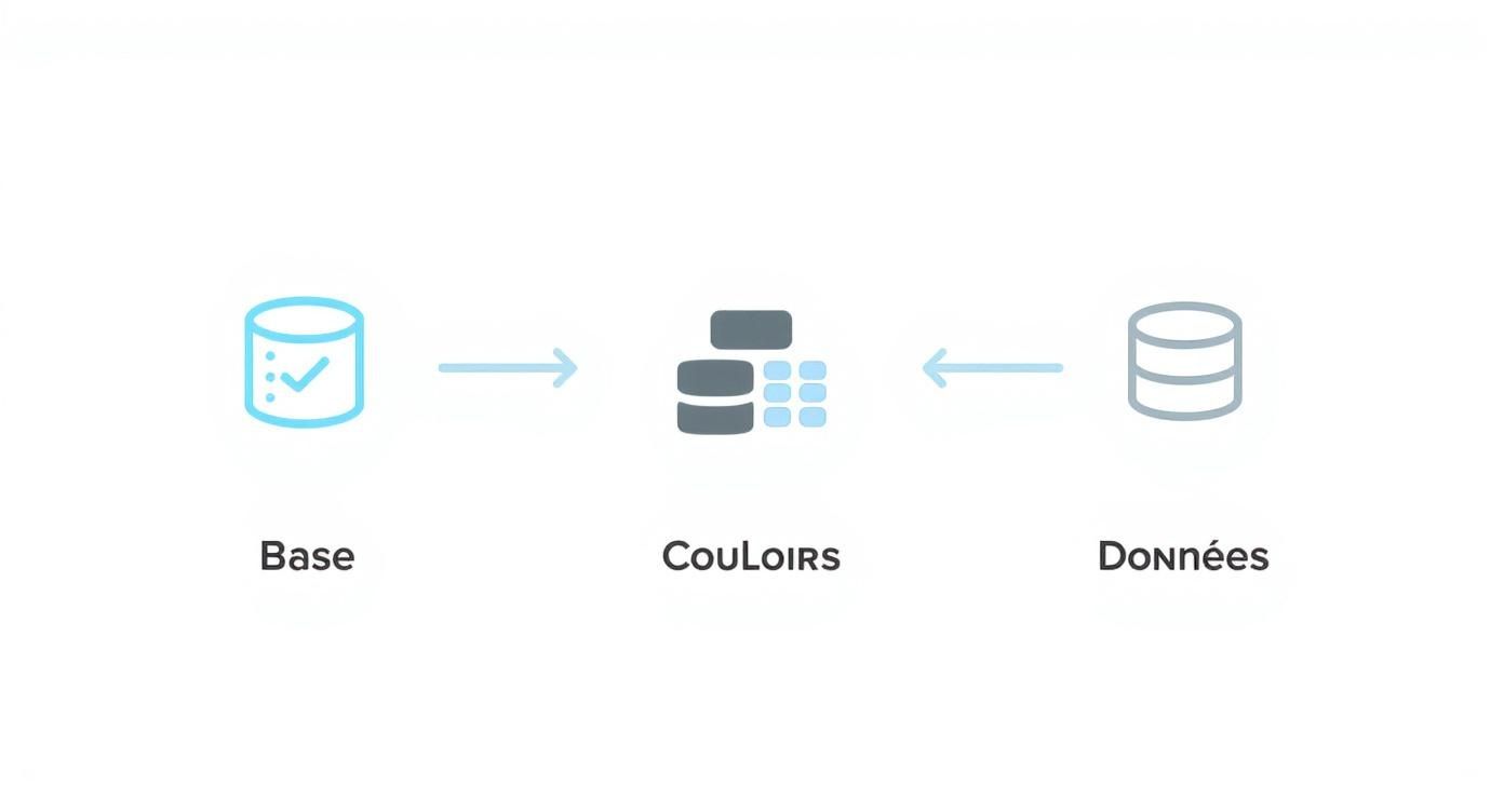 Infographie montrant les 3 types de diagramme de flux : Base, Couloirs et Données.