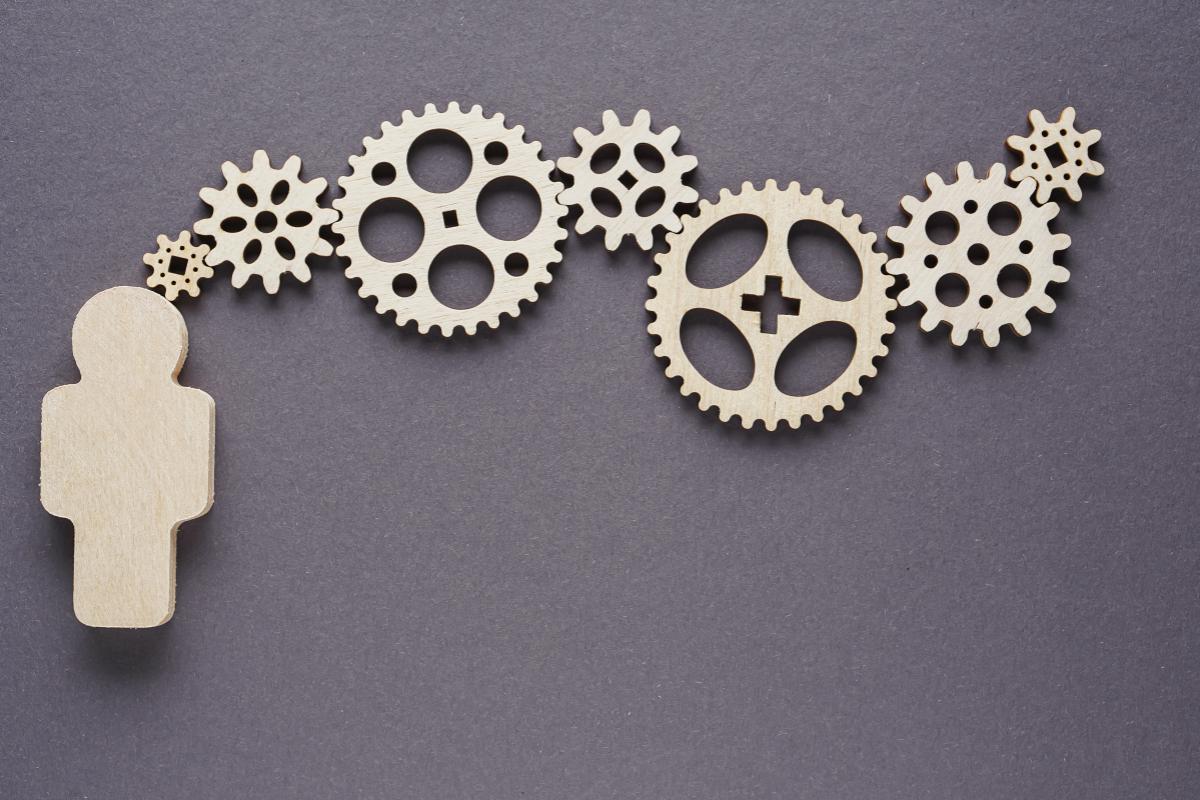 curation: how it works