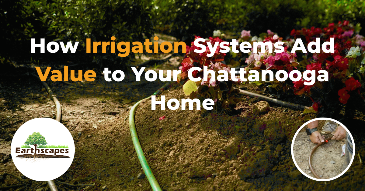 a person holding a freshly harvested handful of compost