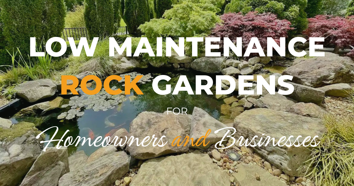 a person holding a freshly harvested handful of compost