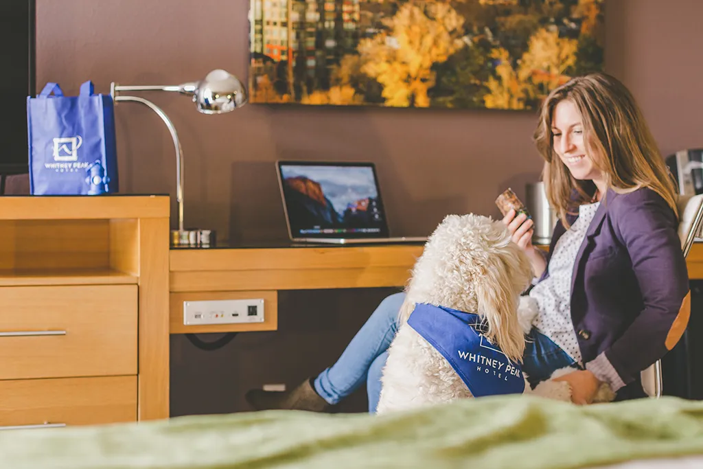 Guest relaxing with a dog in a Whitney Peak room, with a welcome bag nearby