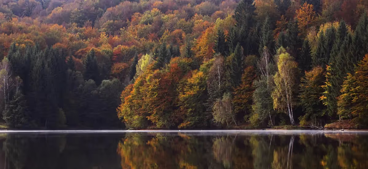 6 Destinations to Enjoy the Best Fall Colors