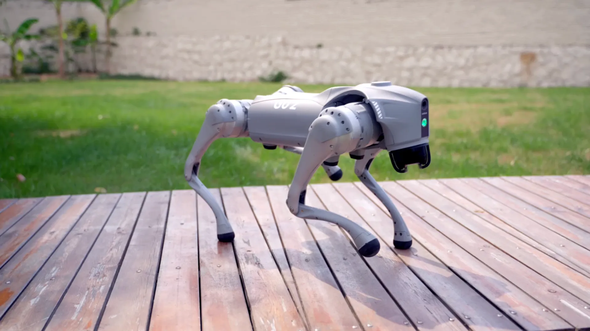 Buy Unitree Robot Dogs | 23 Models from $3,790 - USA & Canada