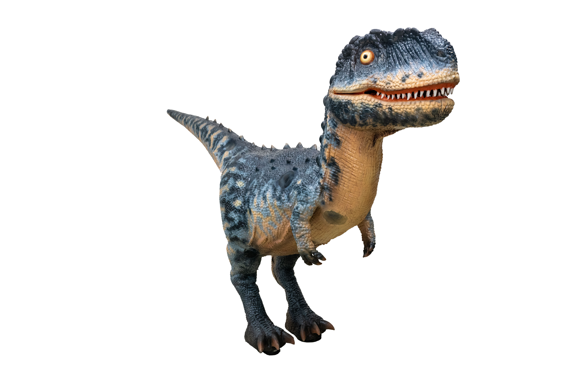 CHRIC DINOBOT