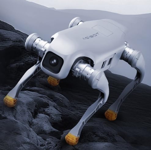 AGIBOT D1 EDU