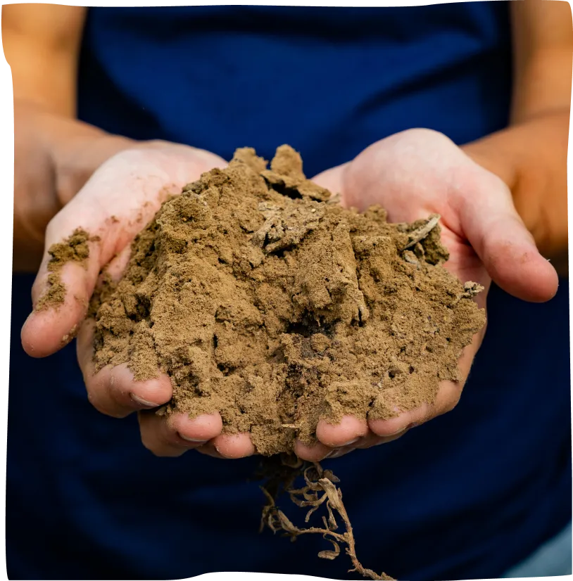 A person holding a pile of dirt in their hands.