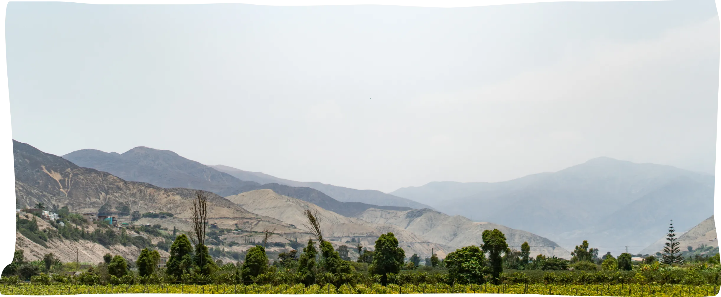 A view of a mountain range with trees in the foreground.