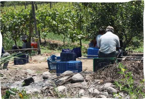 A couple of people that are sitting in the dirt.
