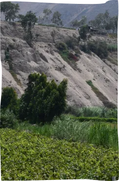 A picture of a mountain side with trees in the foreground.