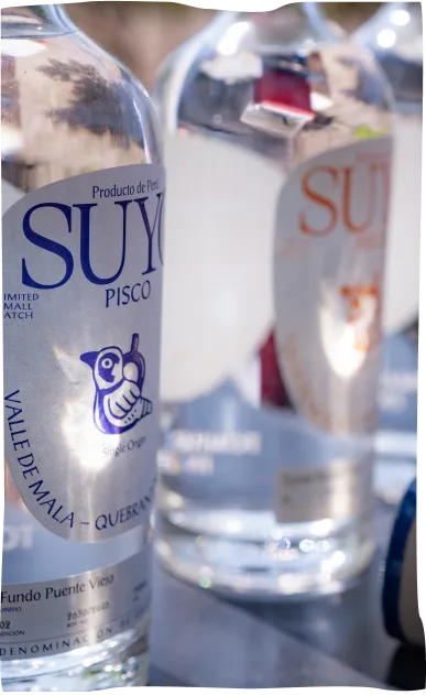A close up of a bottle of water on a table.