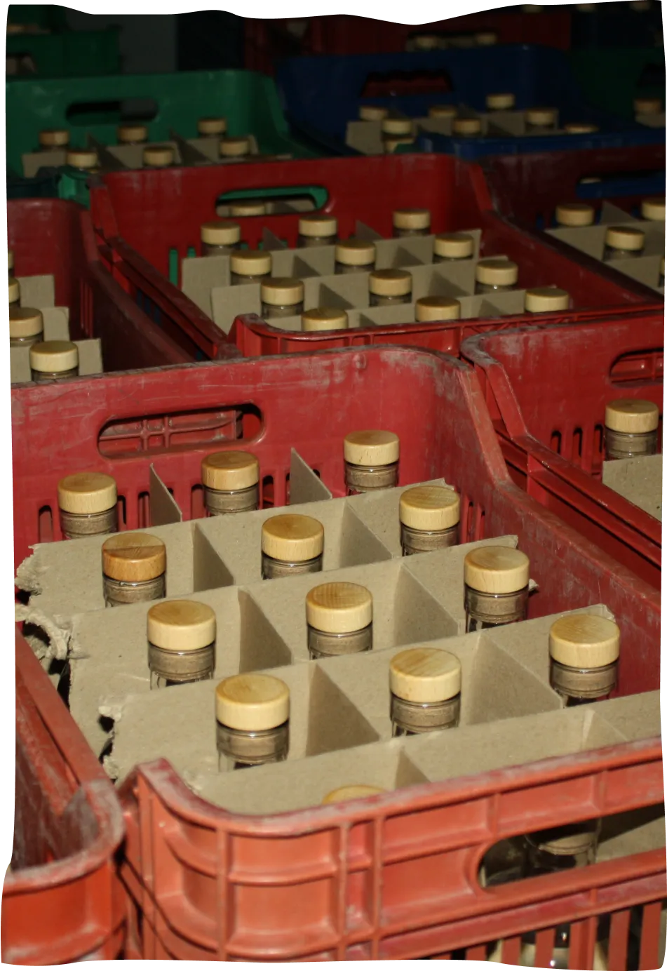 A bunch of containers that are sitting on a table.