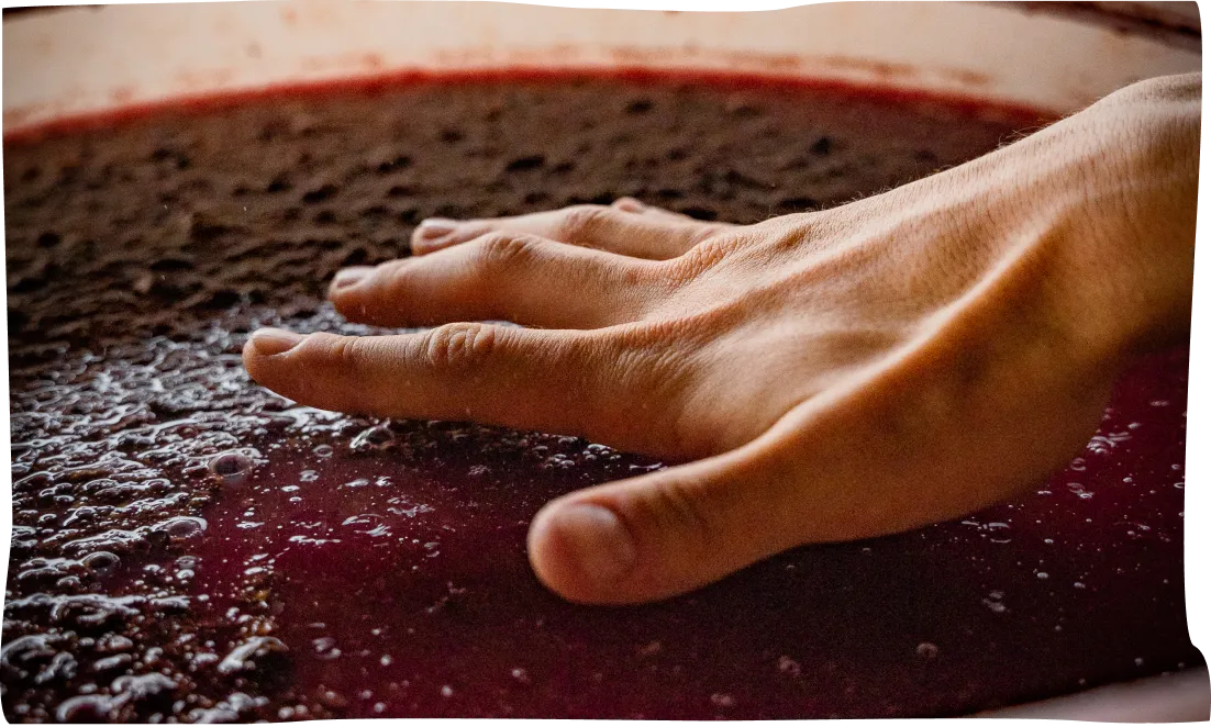 A close up of a person's hand on a cake.
