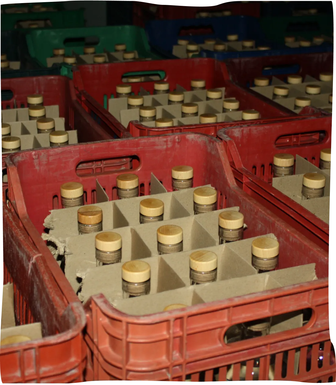 A bunch of crates filled with lots of bottles.