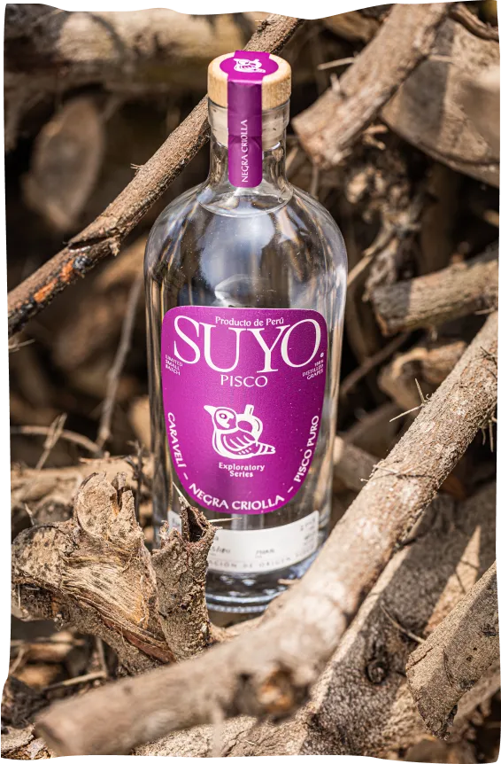A bottle of suyo on a pile of wood.