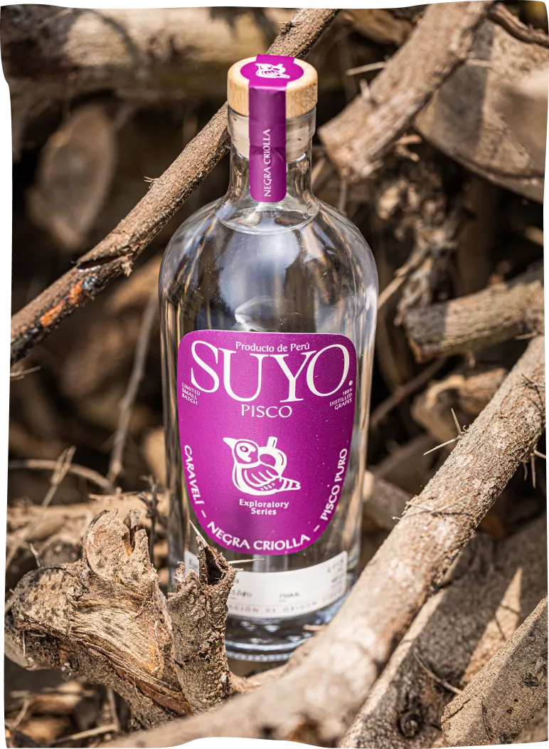 A bottle of suyo pisco sitting on a pile of wood.