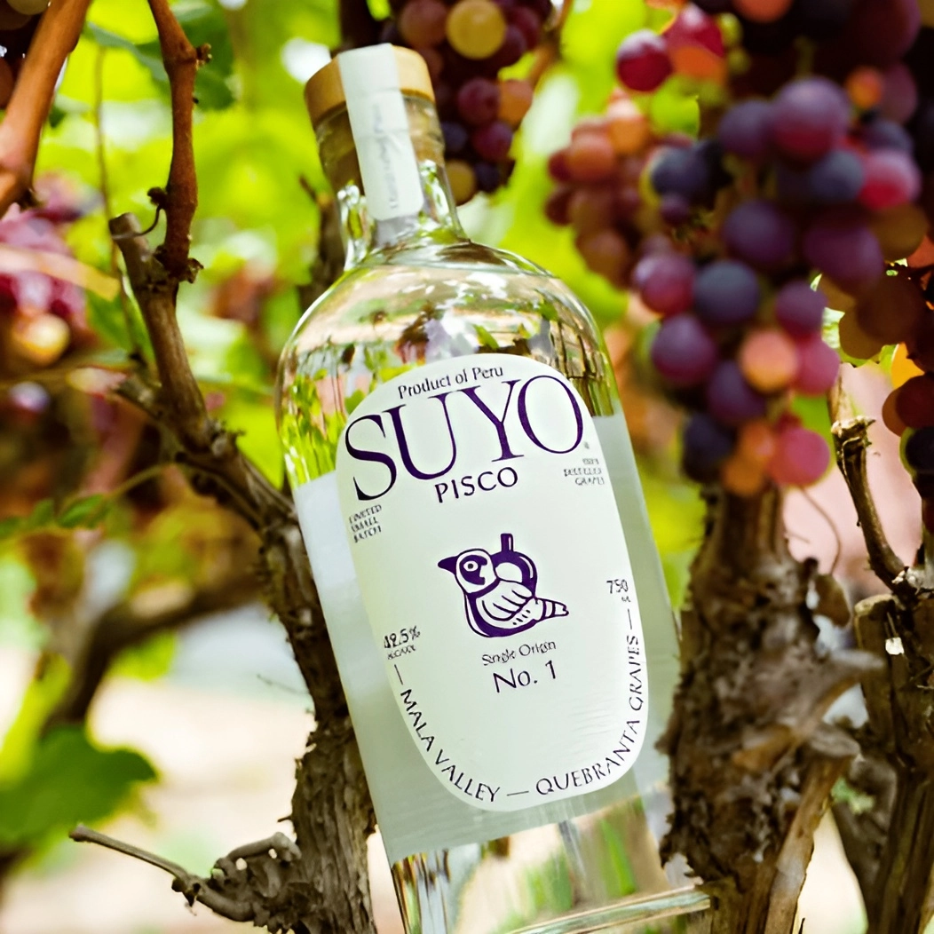 Pisco Suyo: Pequeños pisqueros dan batalla al mezcal y tequila en EE.UU.