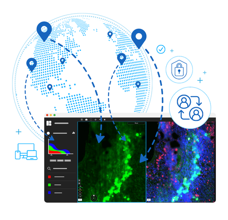 spatial biology collaboration for immunofluorescence images digital pathology image management software