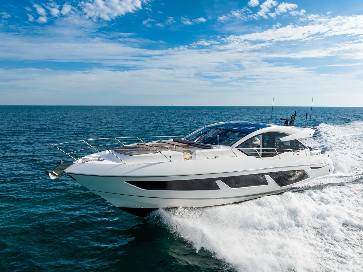 Predator 74