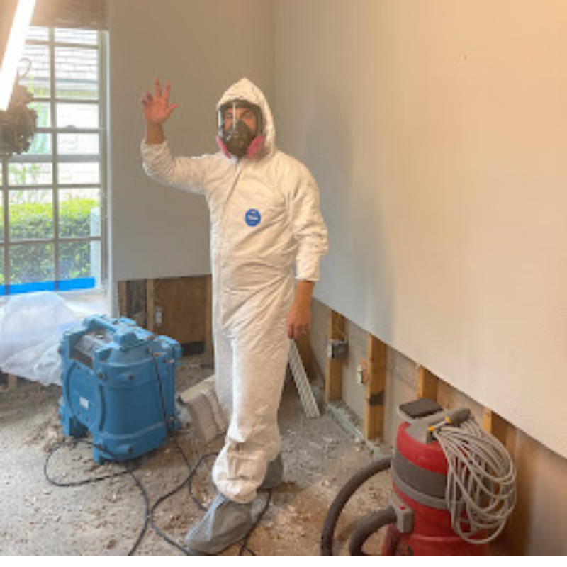 Recent restoration project