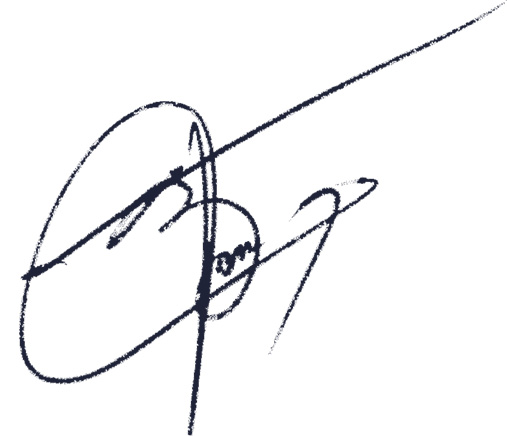 DINE Informe Anual 2024