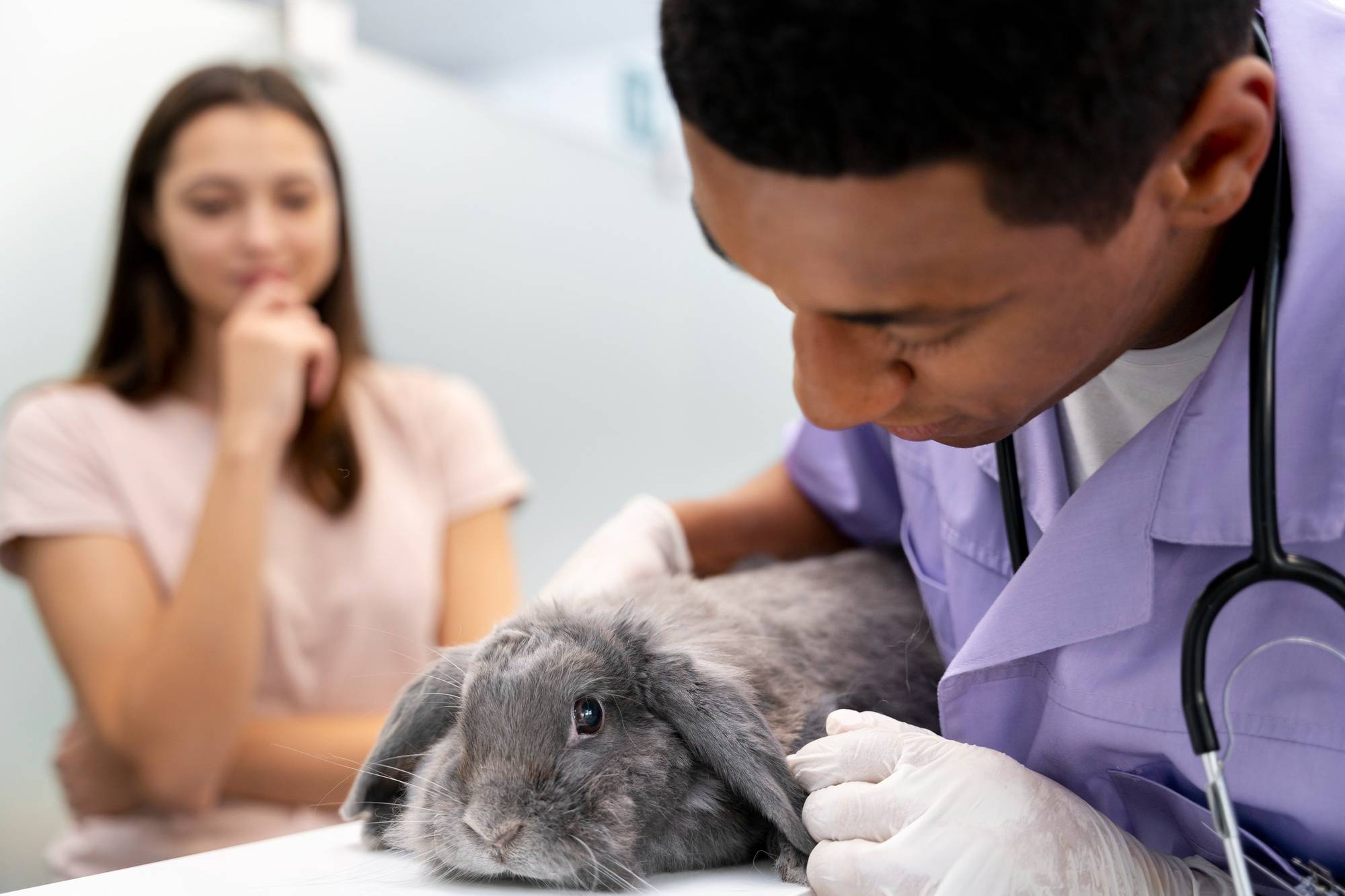 Life in clinic - Pets Care Veterinary Clinic Webflow Template