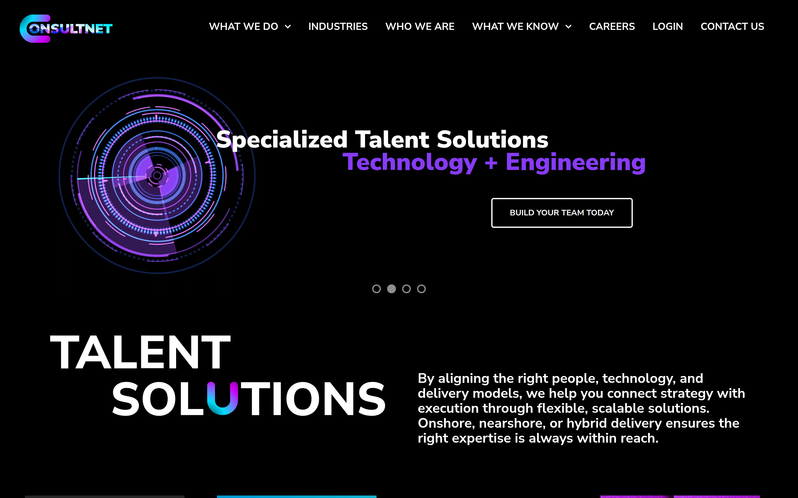 ConsultNet Screenshot