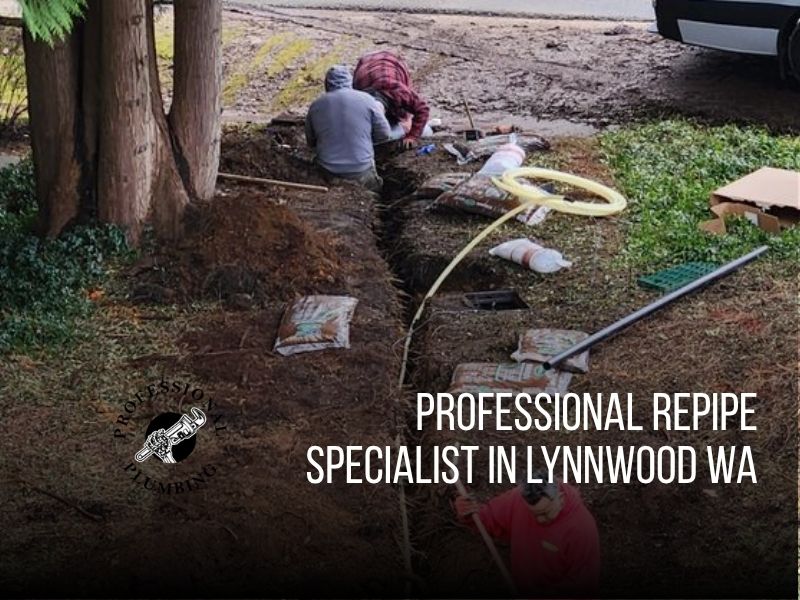 Expert repipe specialists in Shoreline, WA providing durable whole-home pipe replacement with quality workmanship. Contact us today for a free estimate!