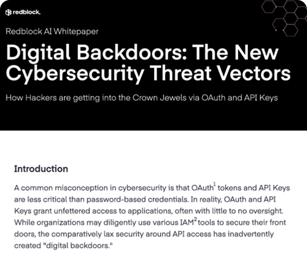 Digital Backdoors: The New Threats Vectors