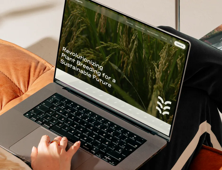 Person sitting and browsing with a laptop