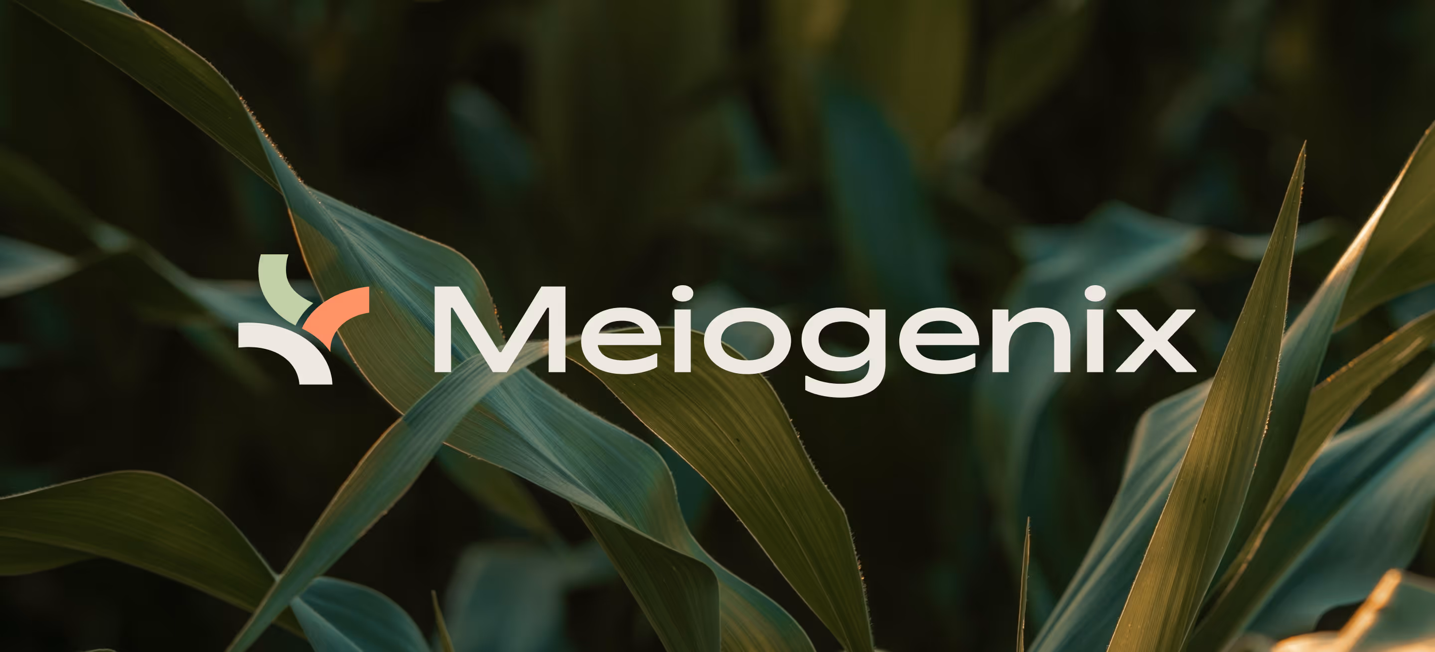 Meiogenix logo on a green background
