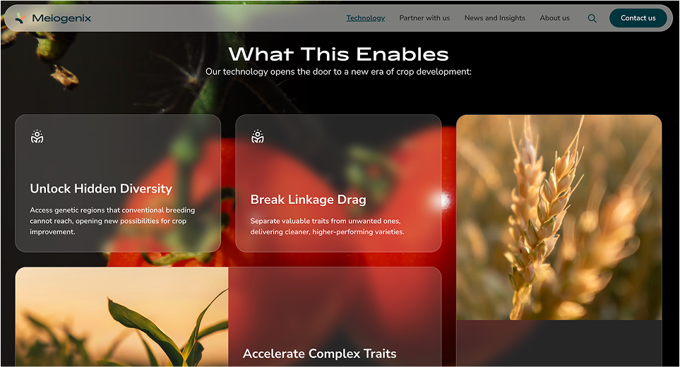 Bento grid on the Meiogenix website