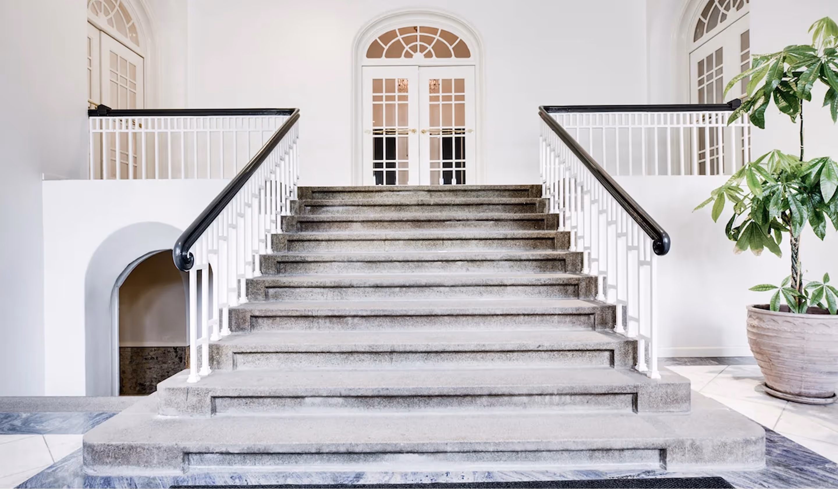 Wide stone staircase with black handrails and white balusters leading to double glass doors in a bright hallway with a potted plant on the right.