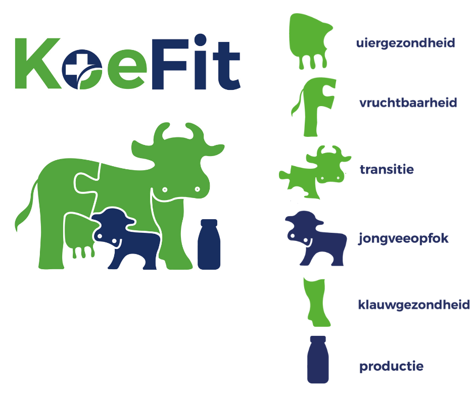 Koe Fit 2