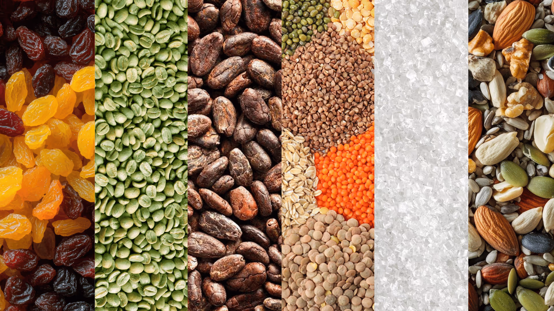 Variety of foods in vertical strips: raisins, pumpkin seeds, cocoa beans, lentils, salt, and mixed nuts.