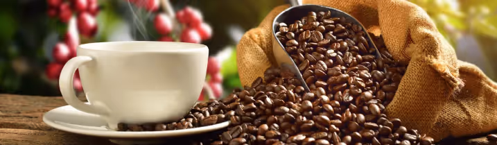 Chaîne d'approvisionnement optimisée pour le café vert