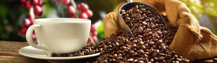 Chaîne d'approvisionnement optimisée pour le café vert