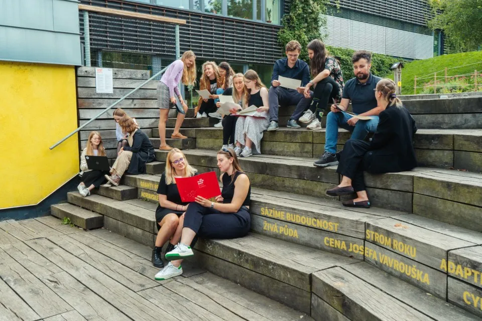 stážisti na společném setkání řeší úkoly