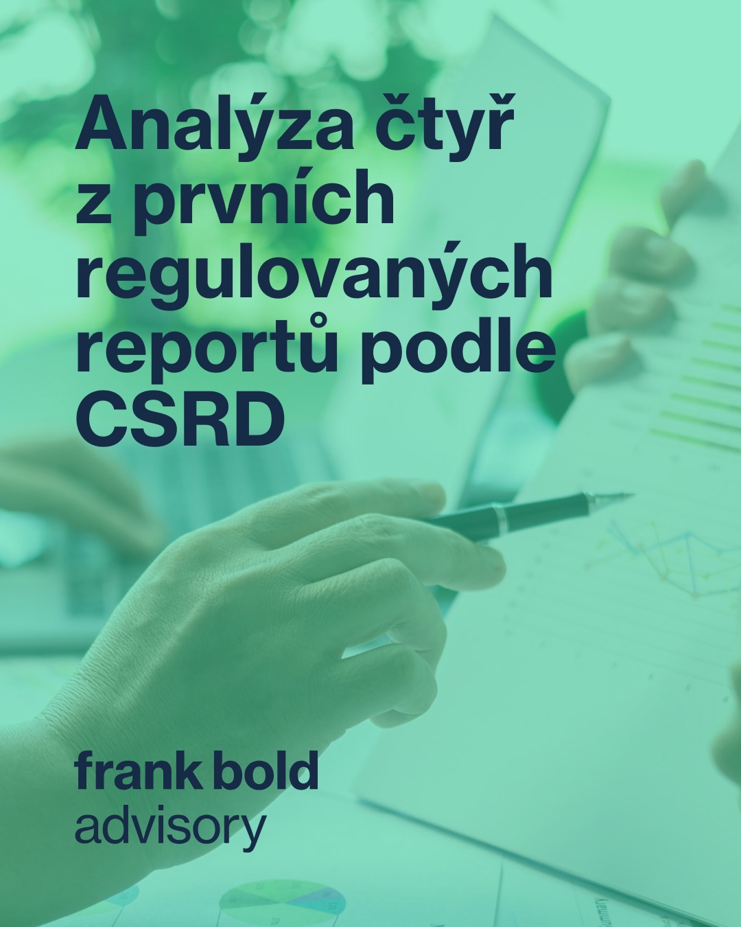 frankboldcz