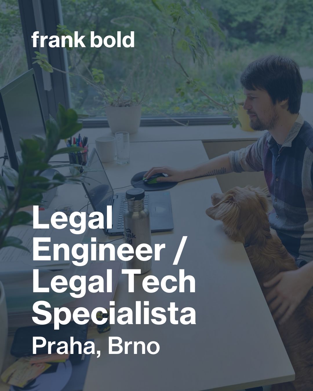 frankboldcz
