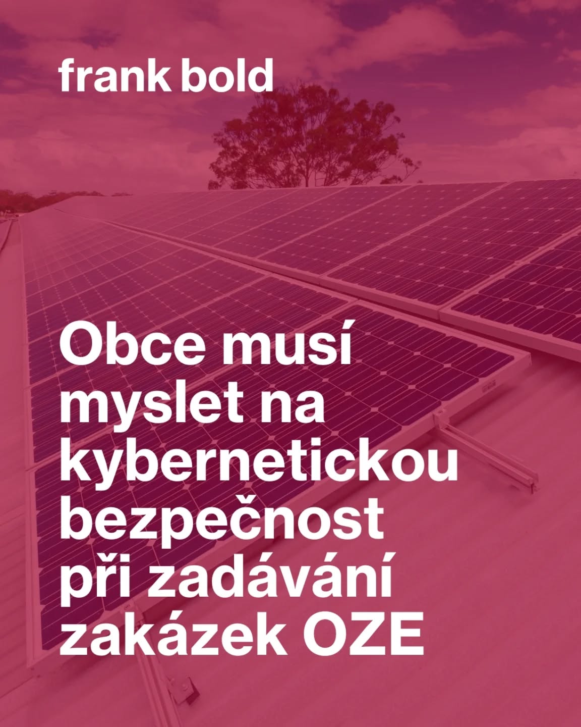 frankboldcz