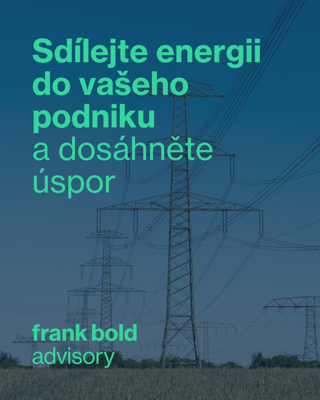 frankboldcz