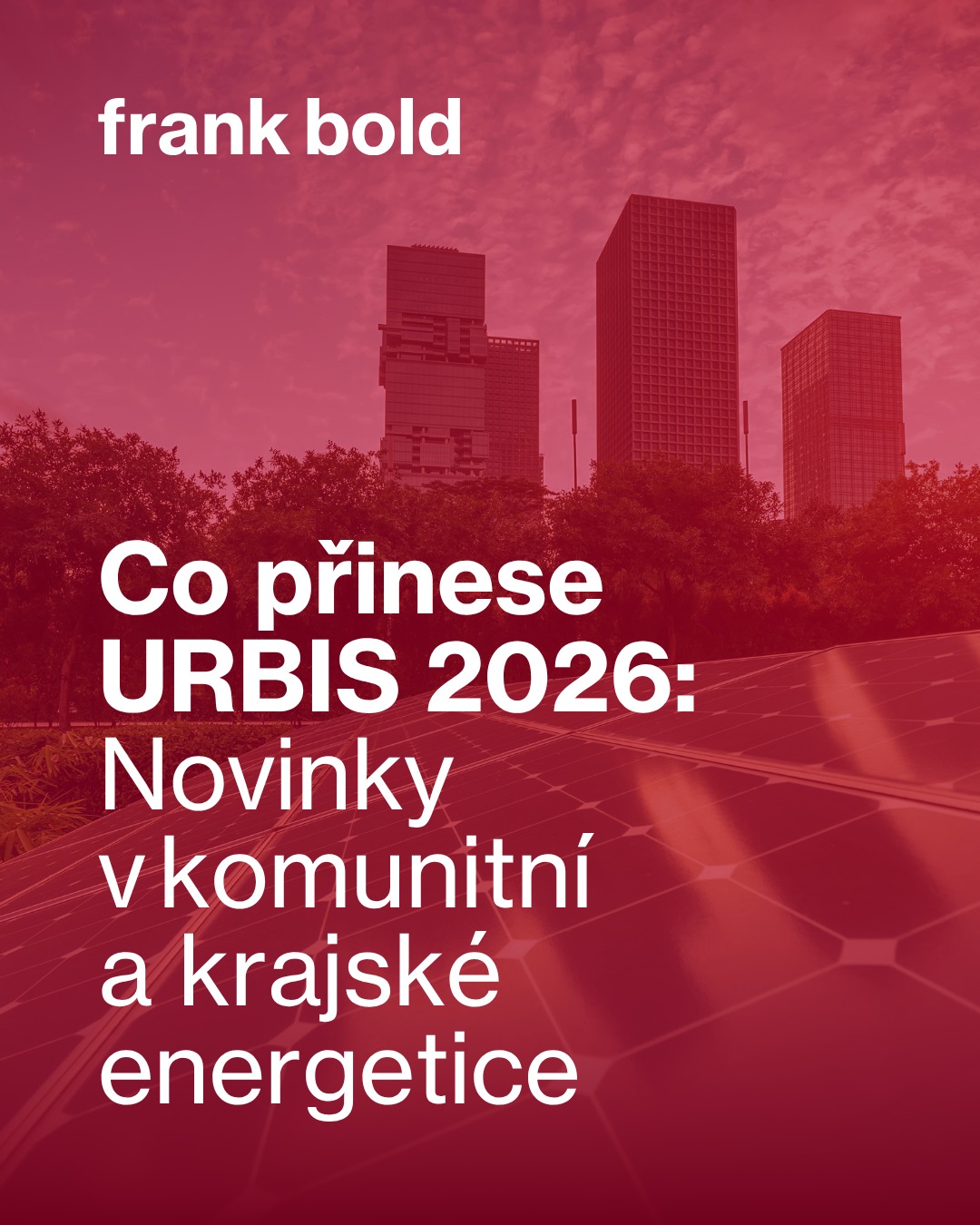 frankboldcz