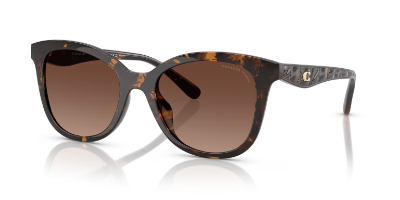 Coach HC8419U dark tortoise wayfarer-style sunglasses with brown gradient lenses, classic women’s tortoiseshell shades