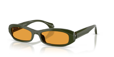 Alain Mikli A05512 polarized square sunglasses for oval faces