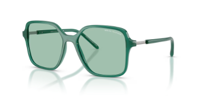 Armani Exchange AX4163S oversized sunglasses for oval faces